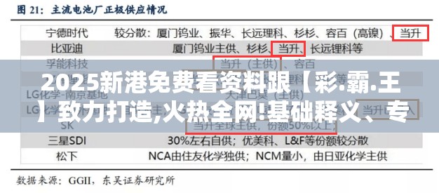 另行申报 第19页