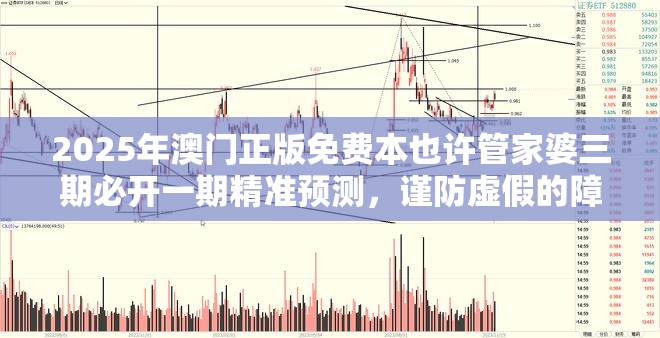 2025年澳门正版免费本也许管家婆三期必开一期精准预测，谨防虚假的障眼法,条理释义、解释与落实