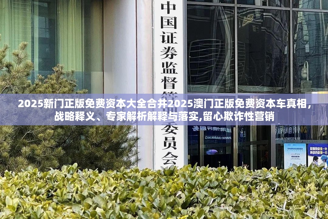 欺诈性营销
